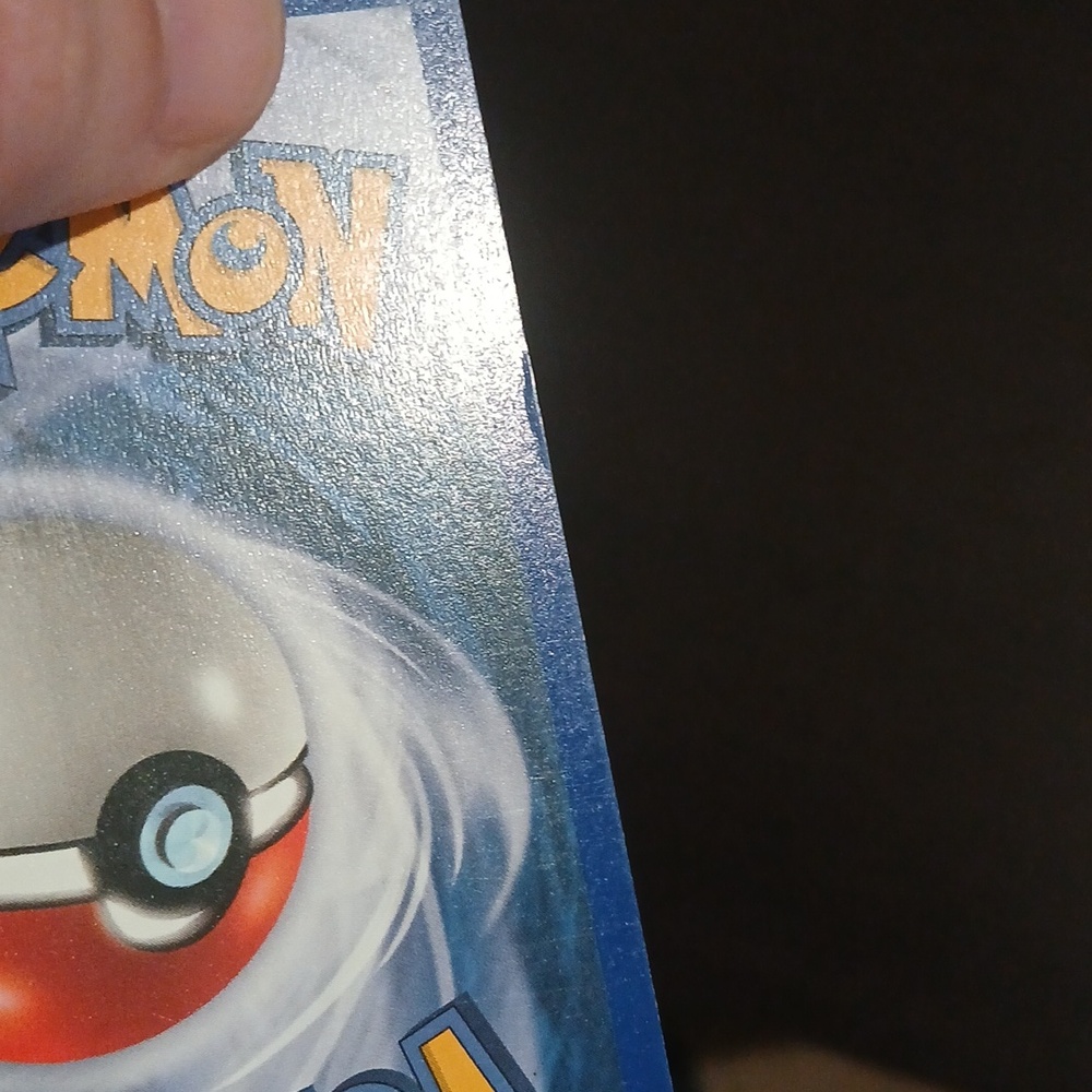 Rapidash Promo - Picture 3 of 4